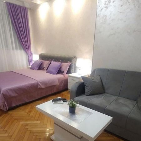 Elena Lux Apartment Belgrad Exterior foto